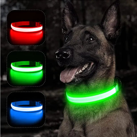 USB Charging Glowing Collar With Pendant