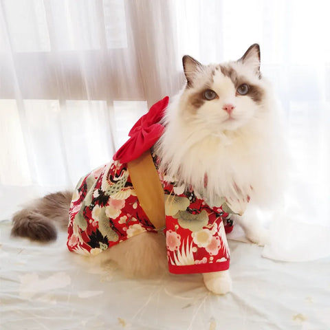 Kimono Style Outfit