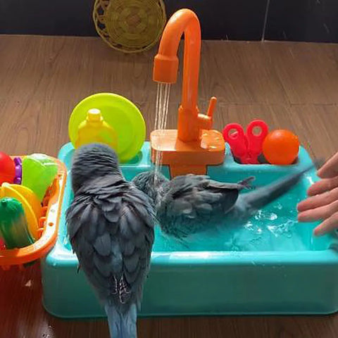 Bathtub for Bird
